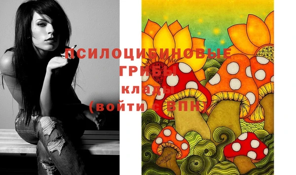 Альфа ПВП Белокуриха