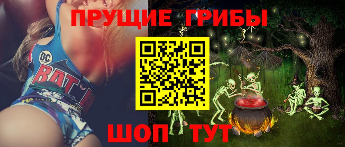 Галлюциногенные грибы GOLDEN TEACHER  Вход с VPN  Свободный  Галлюциногенные грибы MAGIC MUSHROOMS 