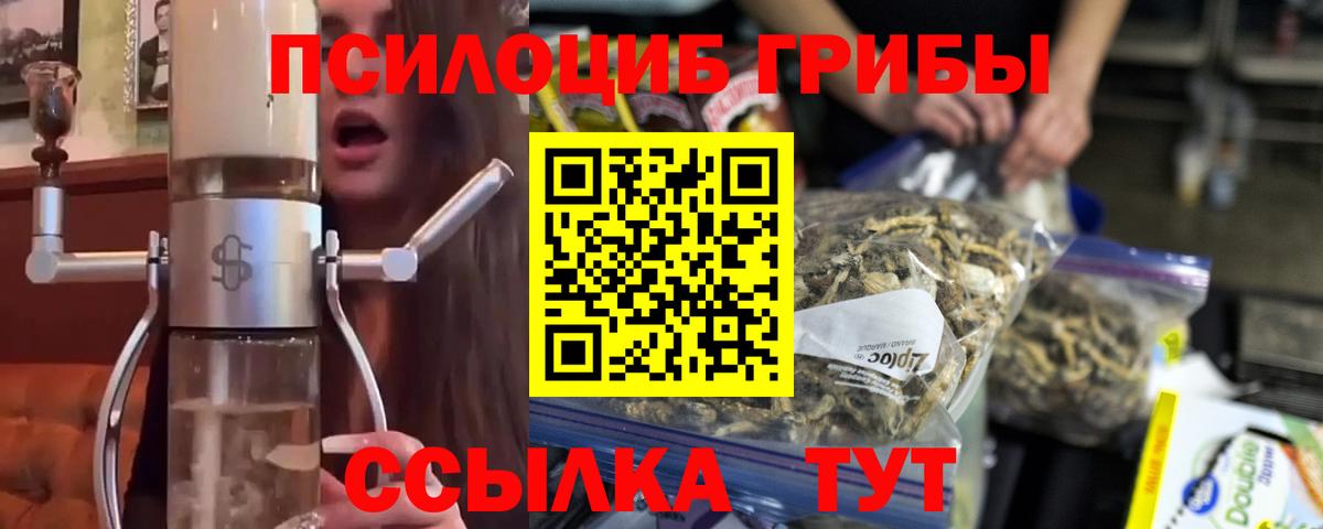 Галлюциногенные грибы GOLDEN TEACHER Свободный